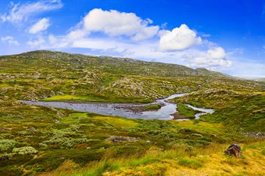 Norveç - in Buskerud bölgesinde nehir doğa ve seyahat arka plan