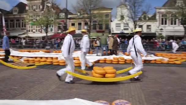 オランダ アルクマール2017年4月28日 伝統的なチーズ市場におけるチーズ運搬業者 — ストック動画