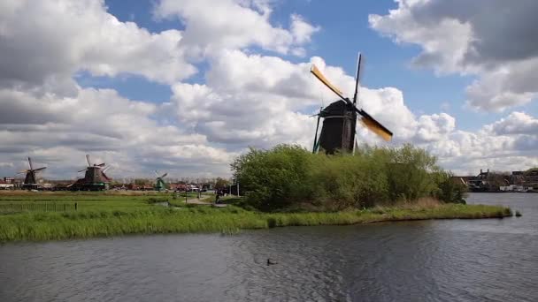 Windmills Zaanse Schans Netherlands Architecture Video — стокове відео