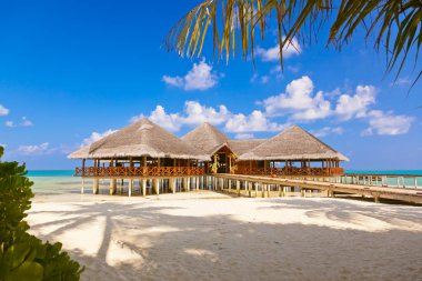 Tropikal Maldivler adasındaki kafe - doğa yolculuğu geçmişi