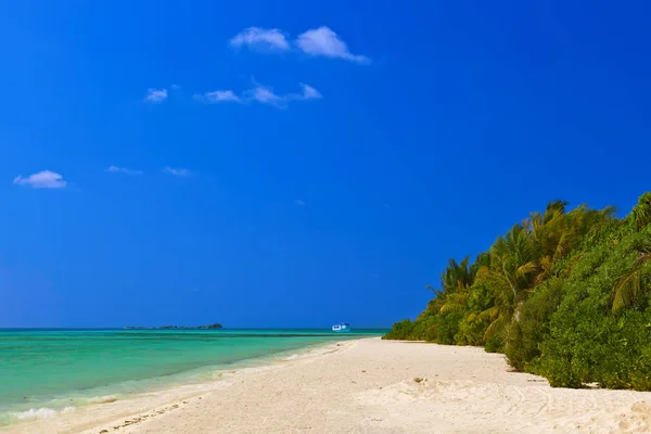 Praia Das Maldivas Fundo Férias Natureza — Fotografia de Stock