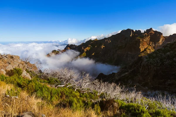 Túrázás Pico Ruivo Pico Arierio Madeira Portugália Utazási Háttér — Stock Fotó