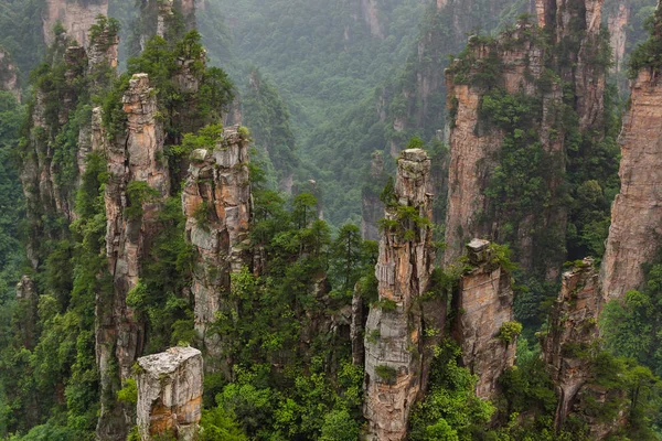 Природний Парк Горі Тяньцзи Аватар Вулінґ Юань Китай Подорожує Тлом — стокове фото