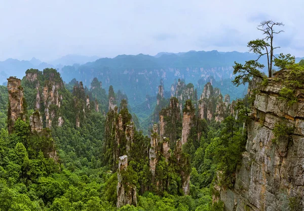 Tianzi Avatar Berge Naturpark Wulingyuan China Reisehintergrund — Stockfoto