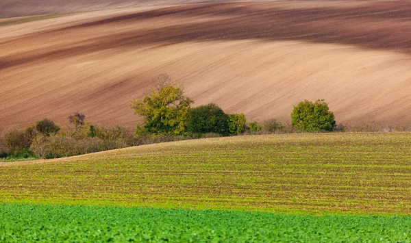 Famous Moravian Fields Czech Republic Nature Travel Background — Stock Photo, Image