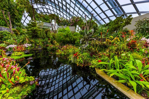 Cúpula Del Bosque Nuboso Los Jardines Bahía Singapur Fondo Natural — Foto de Stock