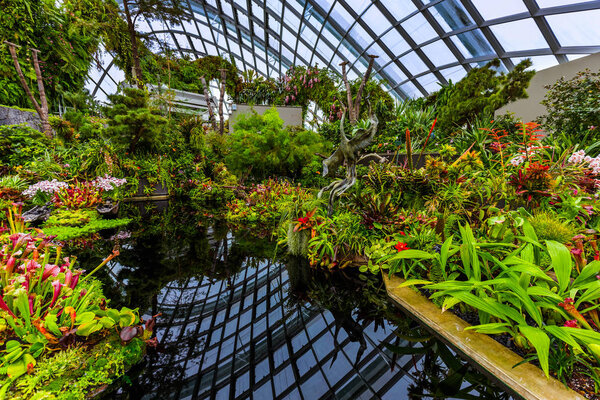 Cloud Forest Dome at Gardens by the Bay in Singapore - nature background