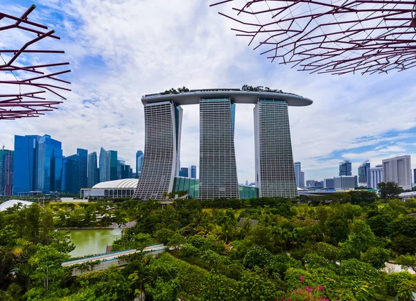 Singapur Körfezi Kıyısındaki Park Gardens Doğa Seyahat Geçmişi — Stok fotoğraf