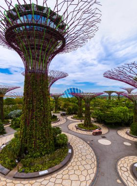 Singapur Körfezi kıyısındaki Park Gardens - doğa ve seyahat geçmişi