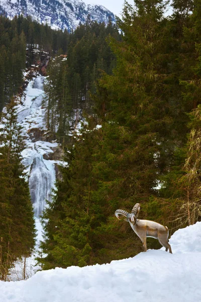 Vattenfall Krimml Tirol Österrike Natur Och Resor Bakgrund — Stockfoto