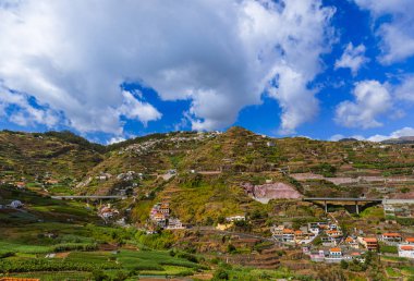 Madeira Portekiz 'in Camara de Lobos kasabası - seyahat geçmişi