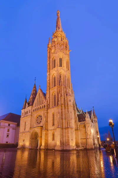 Chiesa Matthias Bastione Dei Pescatori Budapest Ungheria Scenario Urbano — Foto Stock