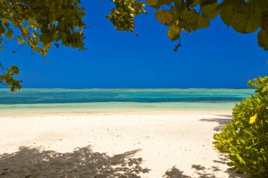 Tropik Maldivler Adası - doğa yolculuğu geçmişi