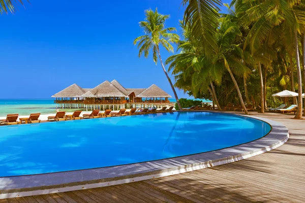 Bazén Kavárna Pláži Maledivy Příroda Dovolená Pozadí — Stock fotografie