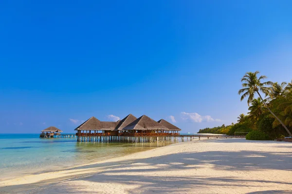 Kawiarnia Tropikalnej Wyspie Malediwy Tło Natury — Zdjęcie stockowe