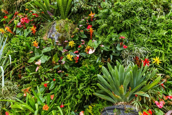 Flores Hierba Fondo Verde Naturaleza — Foto de Stock