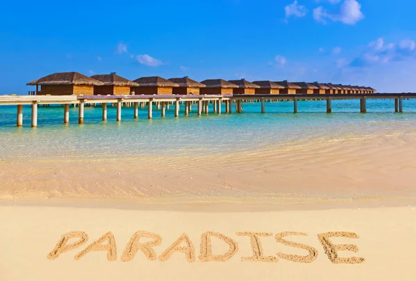 Word Paradise Stranden Natur Semester Bakgrund — Stockfoto