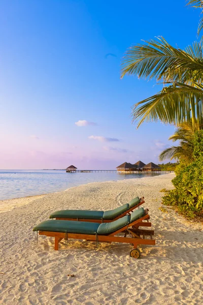 Chaises Sur Plage Des Maldives Arrière Plan Vacances Nature — Photo