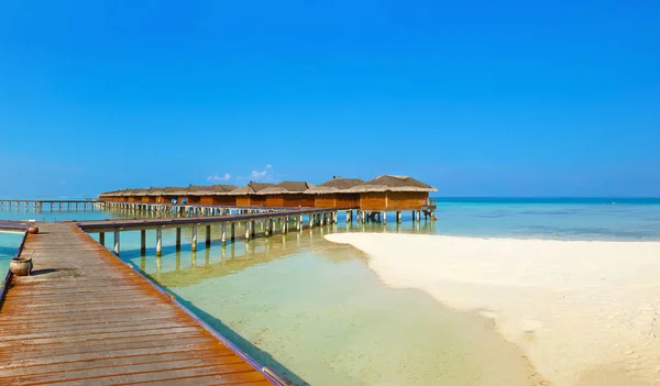 Bungalows Auf Tropischen Malediven Insel Natur Reise Hintergrund — Stockfoto