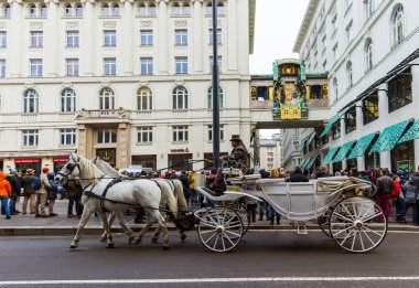 Vienna, Avusturya - 28 Aralık 2016: Fiaker at arabası üzerinde 28 Aralık 2016 Hoher Markt Viyana Avusturya Ankeruhr saatin yanında.