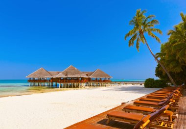 Maldivler sahilindeki havuz ve kafe - doğal tatil geçmişi