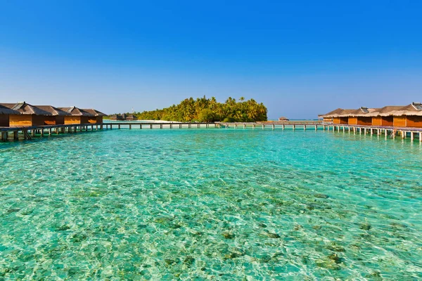 Bungalows Isla Tropical Maldivas Fondo Viaje Por Naturaleza —  Fotos de Stock