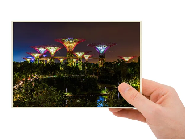 Hand Und Park Gärten Der Bucht Singapore Mein Foto Isoliert — Stockfoto