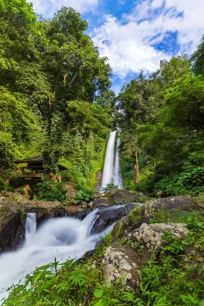 Gitgit Waterfall Bali Island Indonesia Travel Nature Background — Stock Photo, Image
