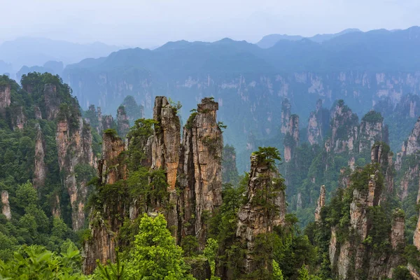 Tianzi Avatar Dağları Doğa Parkı Wulingyuan Çini — Stok fotoğraf