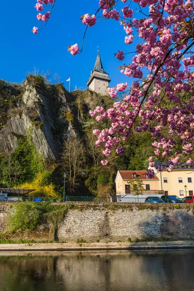 Castillo Vianden Luxemburgo Fondo Arquitectónico — Foto de Stock