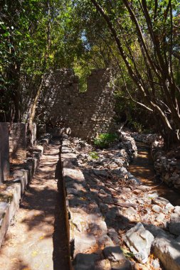 Türkiye'de eski kent olympos