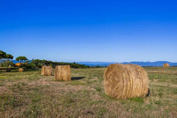 Hooibalen op een veld in de Toscane-Italië — Stockfoto