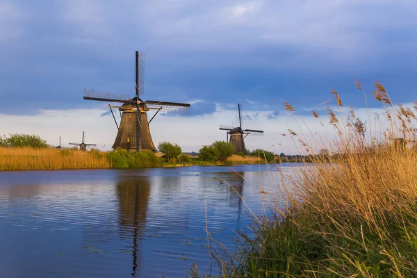 Větrné mlýny v Kinderdijk - Nizozemsko — Stock fotografie
