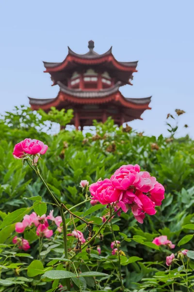 Park near Wild Goose Pagoda - Xian China — Stock Photo, Image
