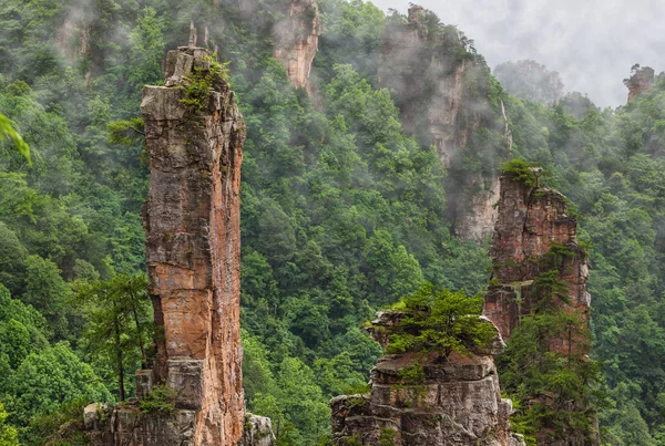 Tianzi Avatar Dağları doğa parkı - Wulingyuan Çin — Stok fotoğraf