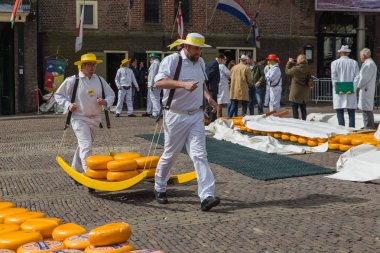 Alkmaar, Hollanda - 28 Nisan 2017: Geleneksel peynir pazarında peynir taşıyıcıları