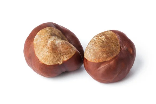 Ripe chestnuts — Stock Photo, Image