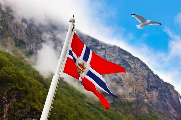Norway flag and seagull bird — Stock Photo, Image