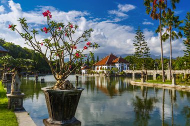Su Saray Taman Ujung Bali Adası Endonezya