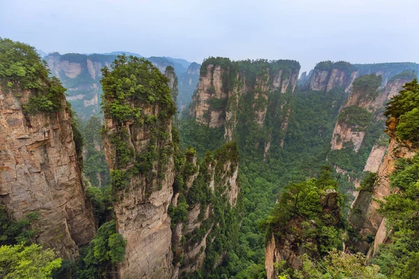 Tianzi avatar mountains naturpark - wulingyuan china — Stockfoto