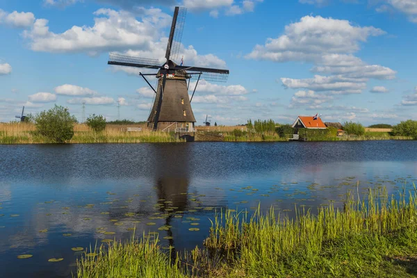 Větrné mlýny v Kinderdijk - Nizozemsko — Stock fotografie