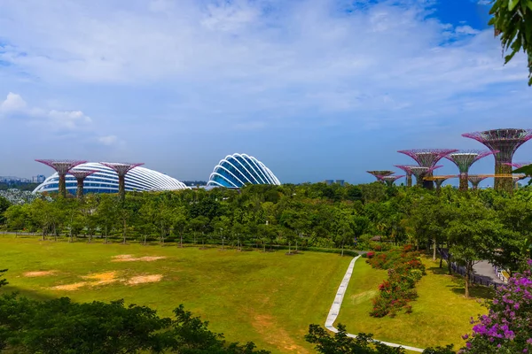 Park Gardens by the Bay - Singapore — Stock Photo, Image