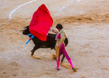 MOITA LISBON, PORTUGAL - 14 Eylül 2016 'da Portekiz' in Moita Lisbon kentinde boğa güreşinde Matador ve boğa.
