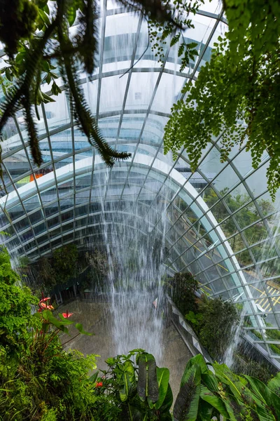 Singapur Körfezi Yakınlarındaki Bahçelerde Bulut Ormanı Kubbesi Doğa Geçmişi — Stok fotoğraf