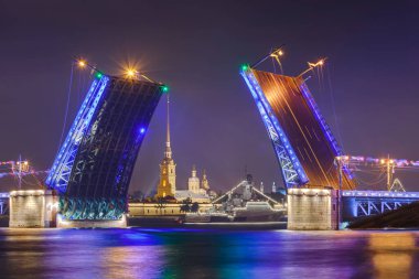 Neva Nehri ve Sarayı (Dvortsovy) Köprüsü - St. Petersburg Rusya