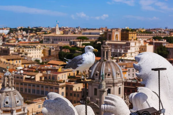 シーグルとローマイタリアの街並み 建築背景 — ストック写真