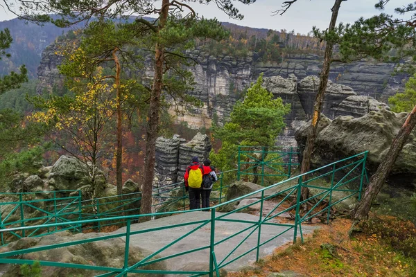 Rotsen Boheems Zwitserland Tsjechische Republiek Reizen Natuur Achtergrond — Stockfoto