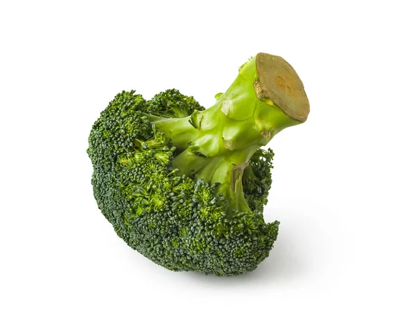 Broccoli Isolated White Background — Stock Photo, Image