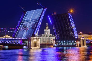 Neva Nehri ve Sarayı (Dvortsovy) Köprüsü - St. Petersburg Rusya