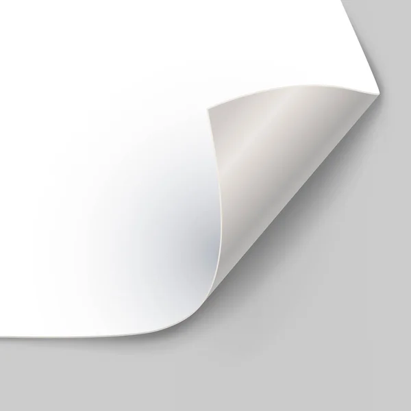 Кутова Завитка Сторінок Паперу Векторним Шаблоном Тіні Рулонний Лист Паперової — стоковий вектор